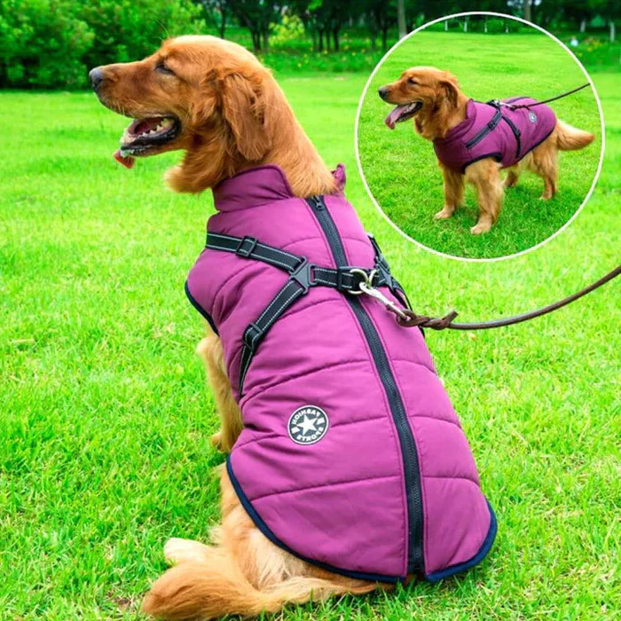 Red waterproof winter dog jacket with integrated harness for warmth & safety. Sherpa-fleece lined, ideal for cold weather.