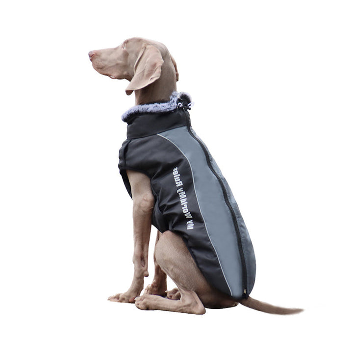 Reflective dog jacket with integrated harness for enhanced safety during night walks.