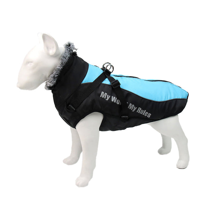 Essential reflective dog gear: jacket with integrated harness for active dogs' safety outdoors.