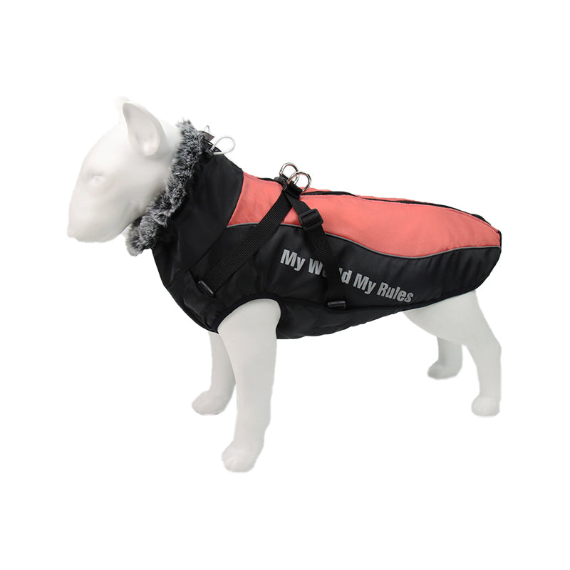 GlowPaw reflective dog jacket with integrated harness, providing ultimate night walk safety and warmth.
