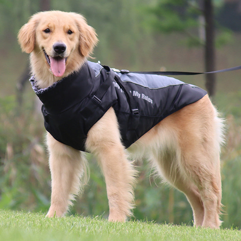 Warm reflective dog jacket with built-in harness, perfect winter coat for safe pet walks.