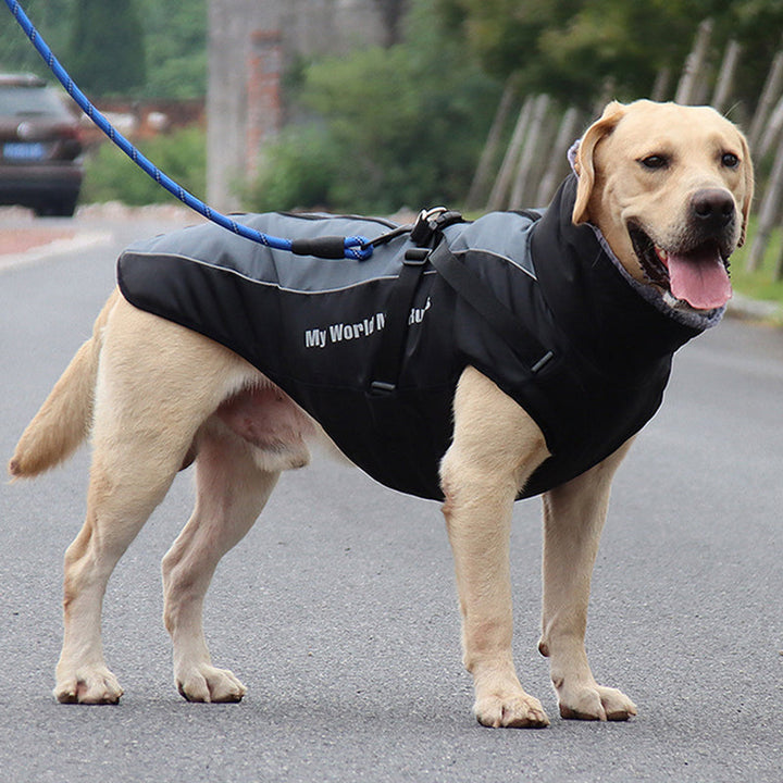 Durable reflective dog jacket with integrated harness for outdoor dog safety and warmth.