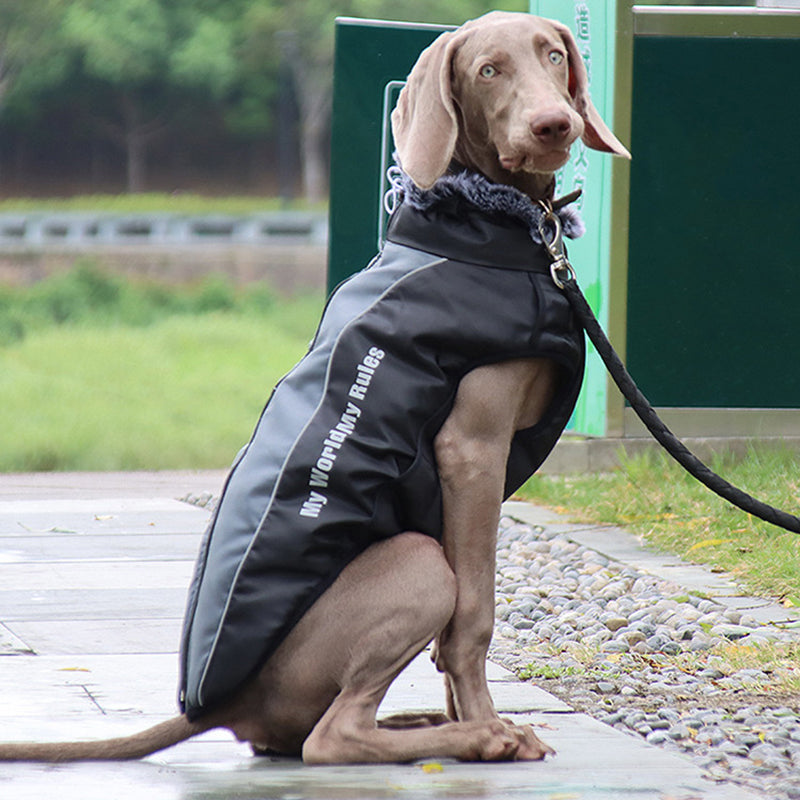 GlowPaw reflective dog jacket with secure integrated harness for visibility & control during walks.
