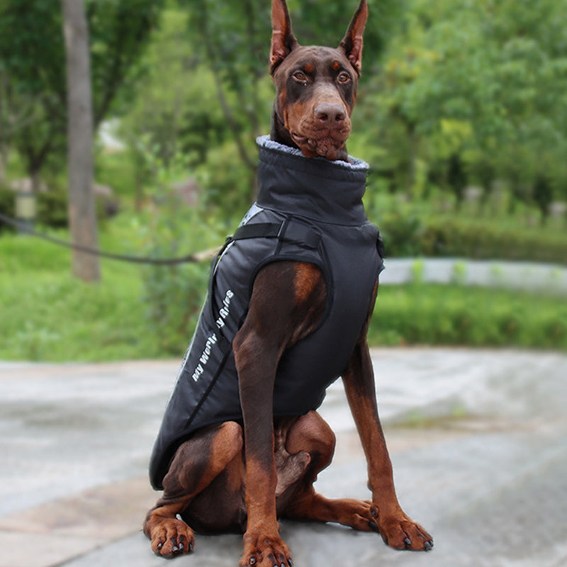 Reflective dog vest and harness combo for enhanced pet safety during evening and night walks.