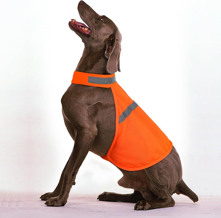 Bright yellow reflective dog vest, essential safety gear for pets, ensures visibility
