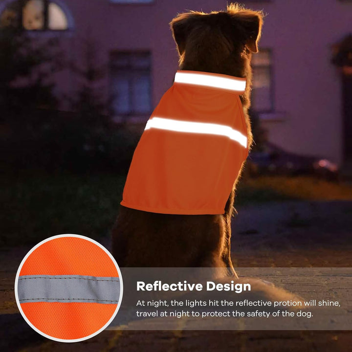 High visibility dog apparel: a reflective safety vest for active dogs and secure night walks