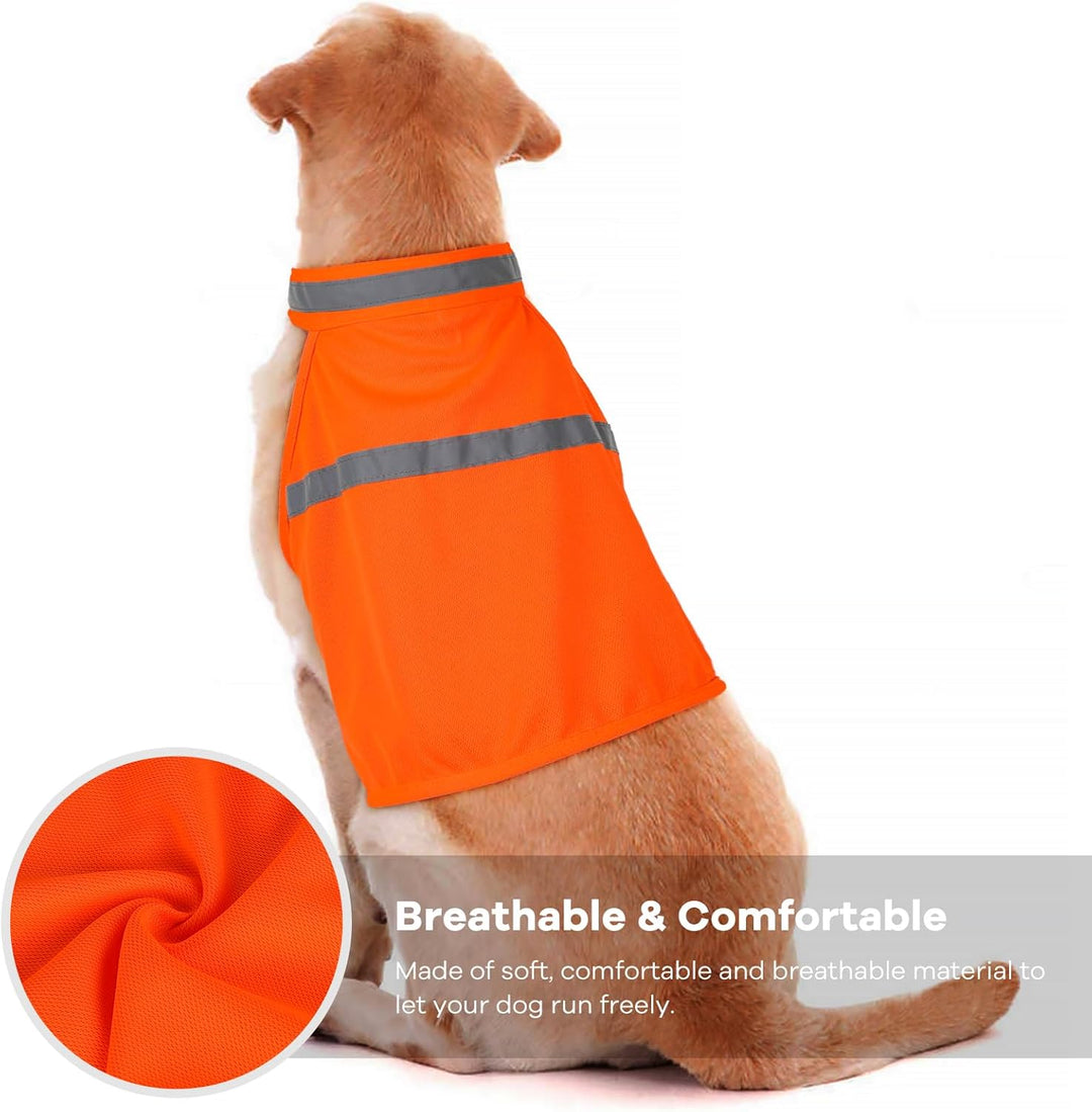 Pet accessory: fluorescent reflective dog vest enhances safety during evening dog walks