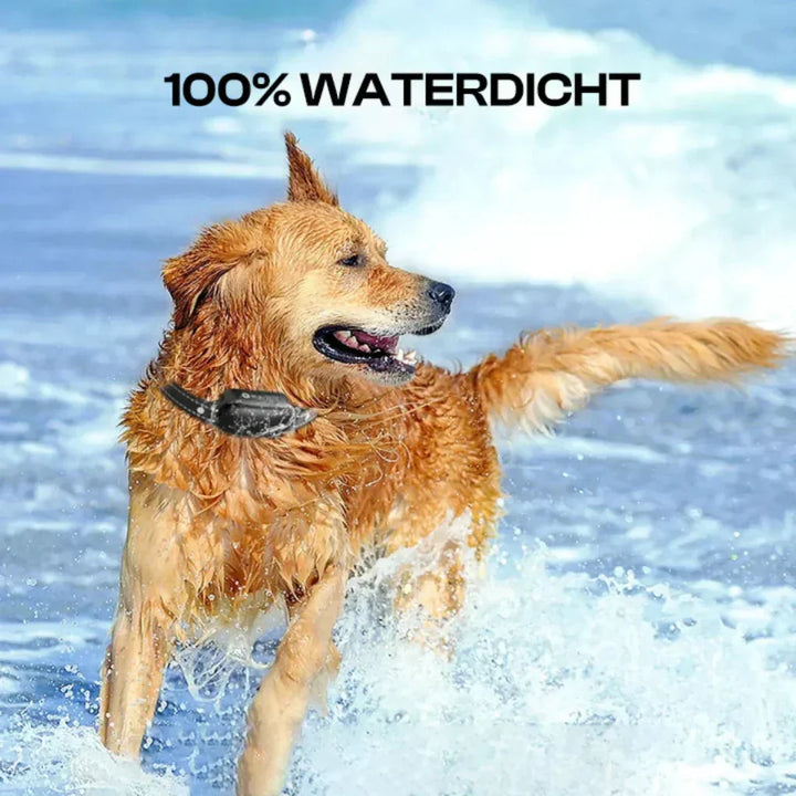 Professional remote e-collar for dog training, suitable for all breeds to improve obedience and behavior.