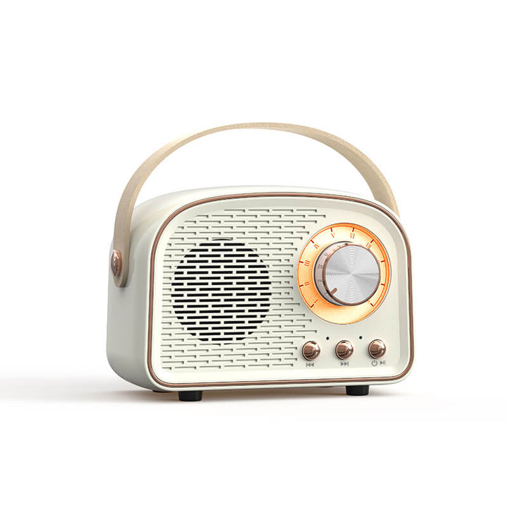 RetroVibe vintage tech accessory: a Bluetooth speaker and FM radio for clear wireless audio.