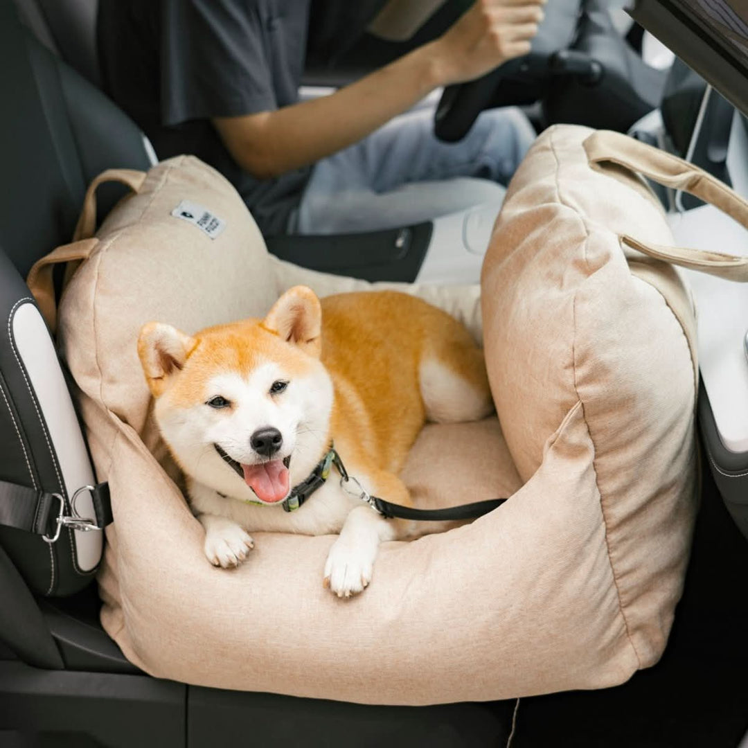 Easy-install dog car booster seat; secure pet travel bed ensuring comfort & safety for your dog.