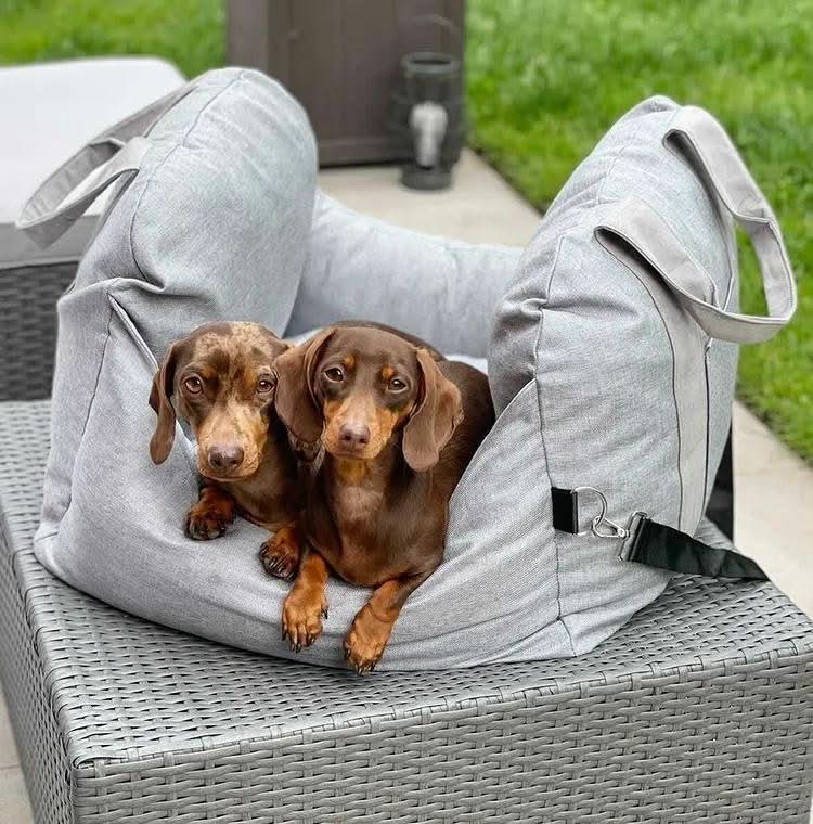 Luxury dog car travel bed and booster seat; washable, secure, ensuring a cozy, safe ride.