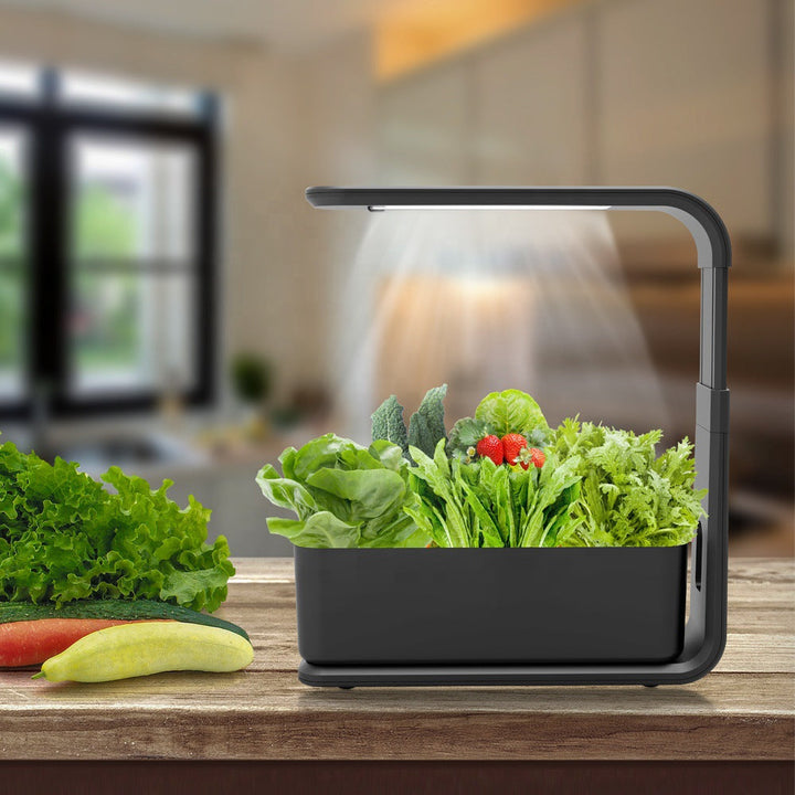 Slim indoor hydroponic system by GreenBloom for effortless plant growing. Modern design for home decor.