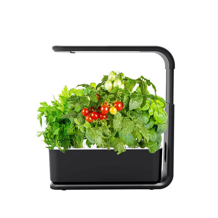 GreenBloom's slim hydroponic indoor garden system for growing plants effortlessly. Ideal for any home.