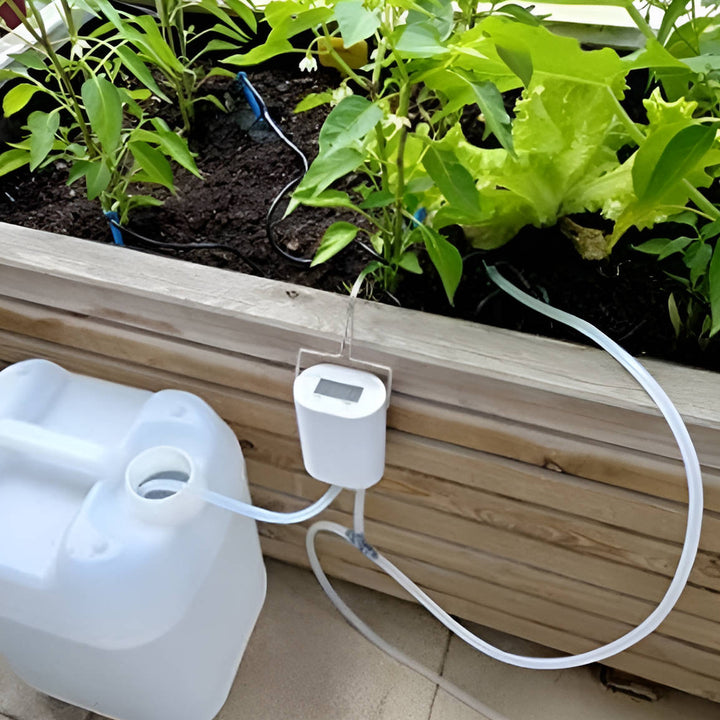 Self-watering plant system, ideal for vacation plant care and busy gardeners.