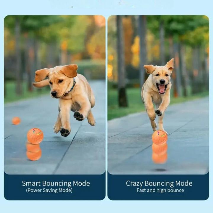Durable & waterproof SmartBounce dog ball, essential interactive pet accessory for fun.