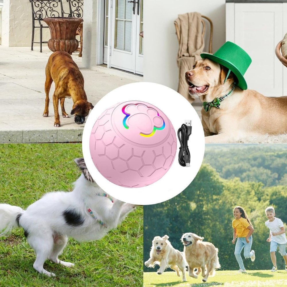 SmartBounce chew toy ball for dogs, an interactive solution for active pets & endless fun.