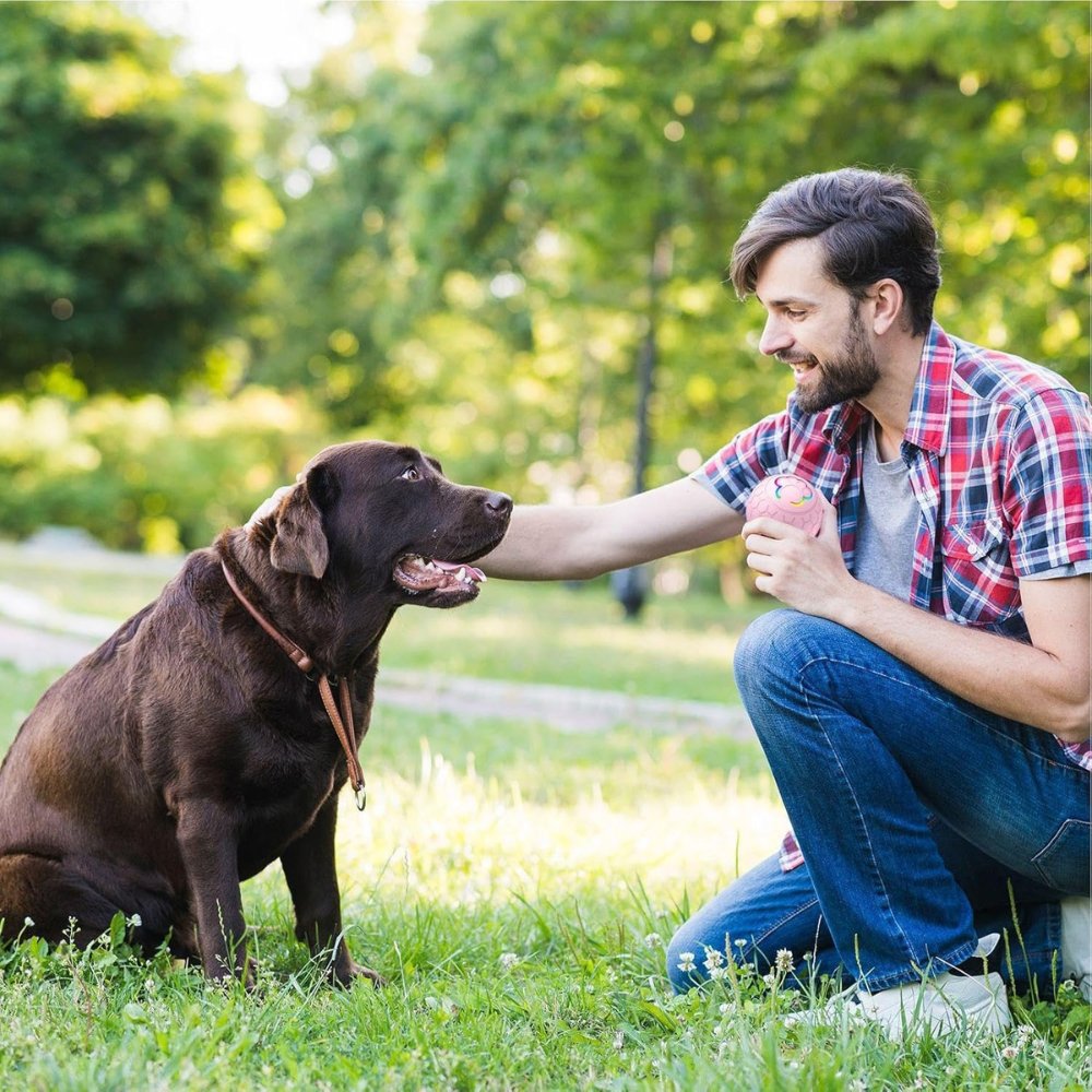 Engaging SmartBounce interactive dog toy ball, boosting pet play & mental stimulation.