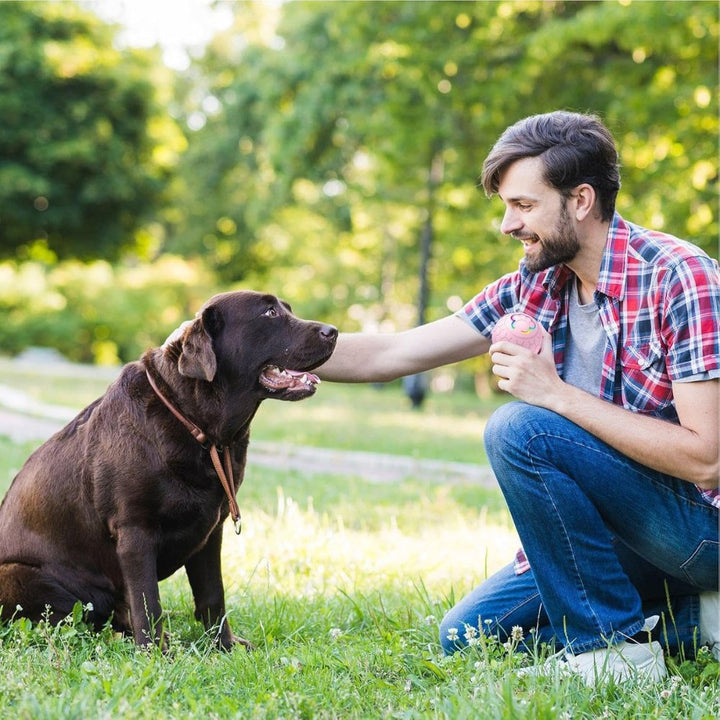 Engaging SmartBounce interactive dog toy ball, boosting pet play & mental stimulation.