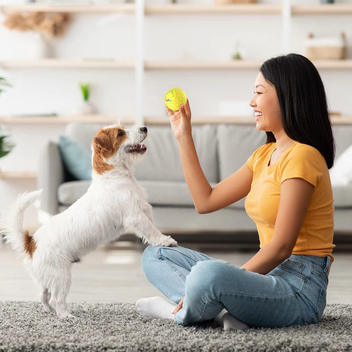 SmartBounce interactive chew toy ball, a durable dog accessory for boredom relief & active play.