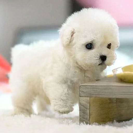 Detailed view of a fluffy, brown interactive plush dog, an engaging and soft children's gift for playful fun.