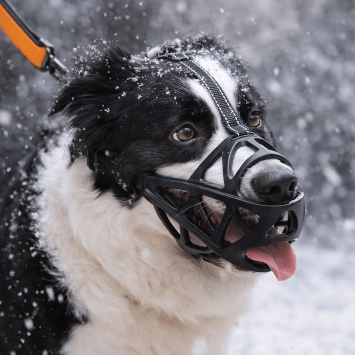Soft, breathable dog muzzle for gentle behavior control & pet safety during training.