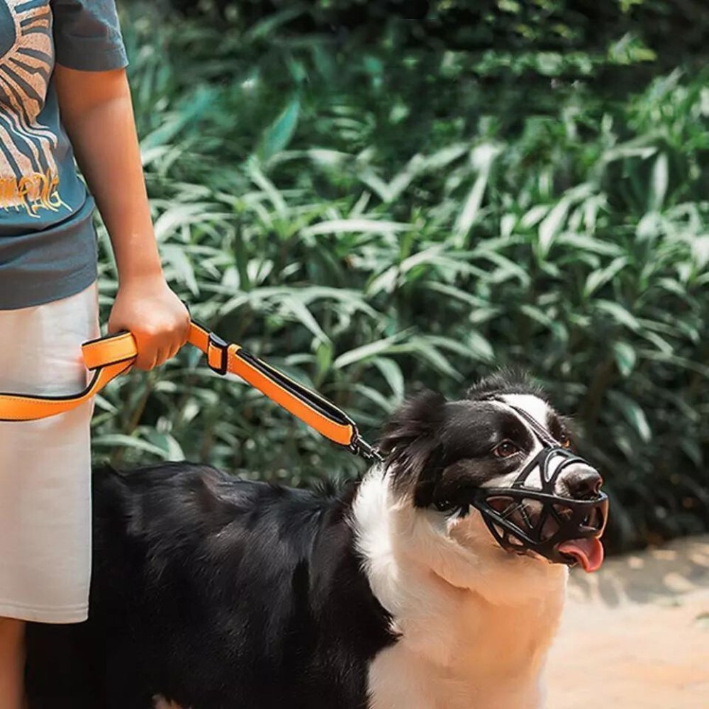 Gentle dog muzzle prevents biting & barking; soft, breathable design for pet comfort & safety.