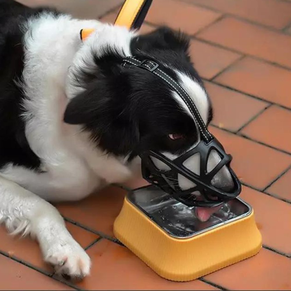 Train your dog with this soft, breathable muzzle; gentle behavior control & pet safety.