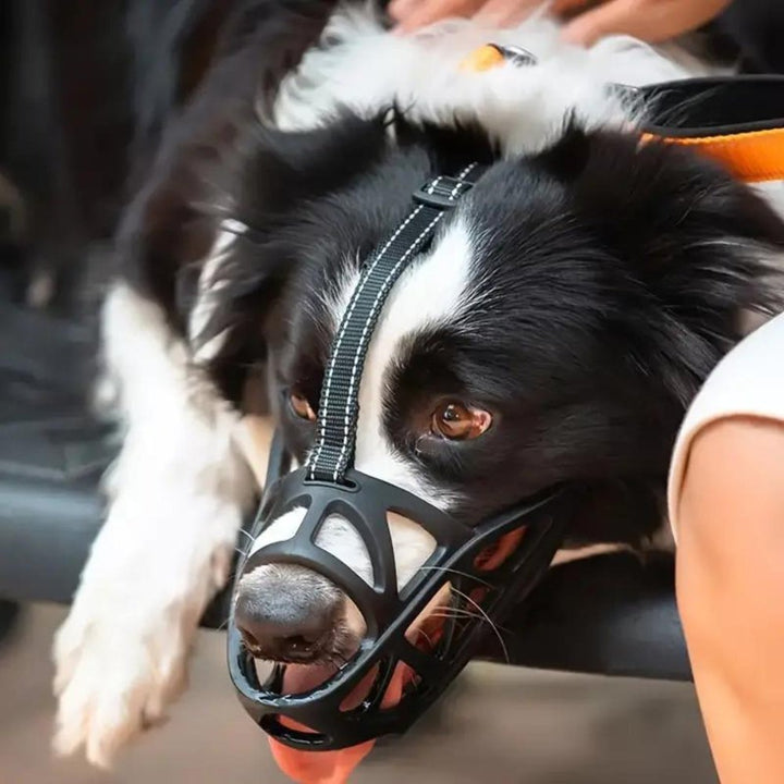 Breathable dog muzzle for gentle behavior control, prevents biting & anti-barking.