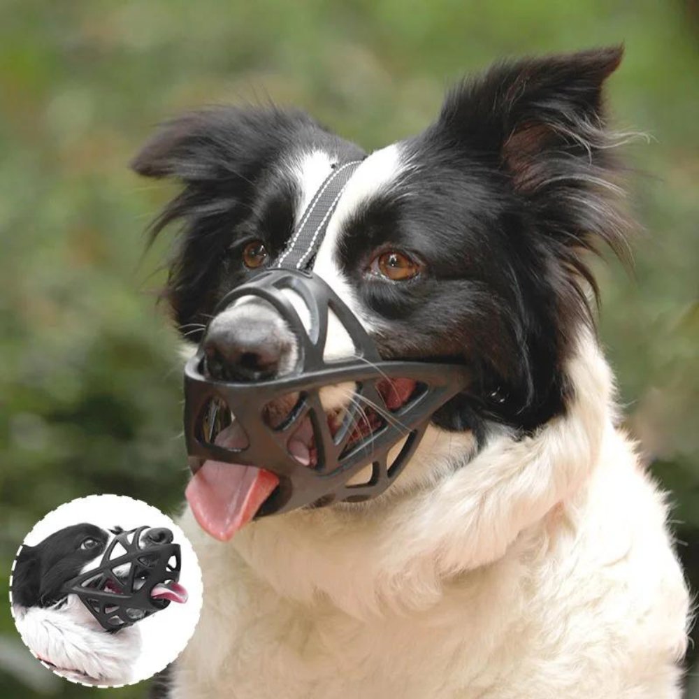 Dog training muzzle, soft & breathable, for gentle behavior control & preventing bites.