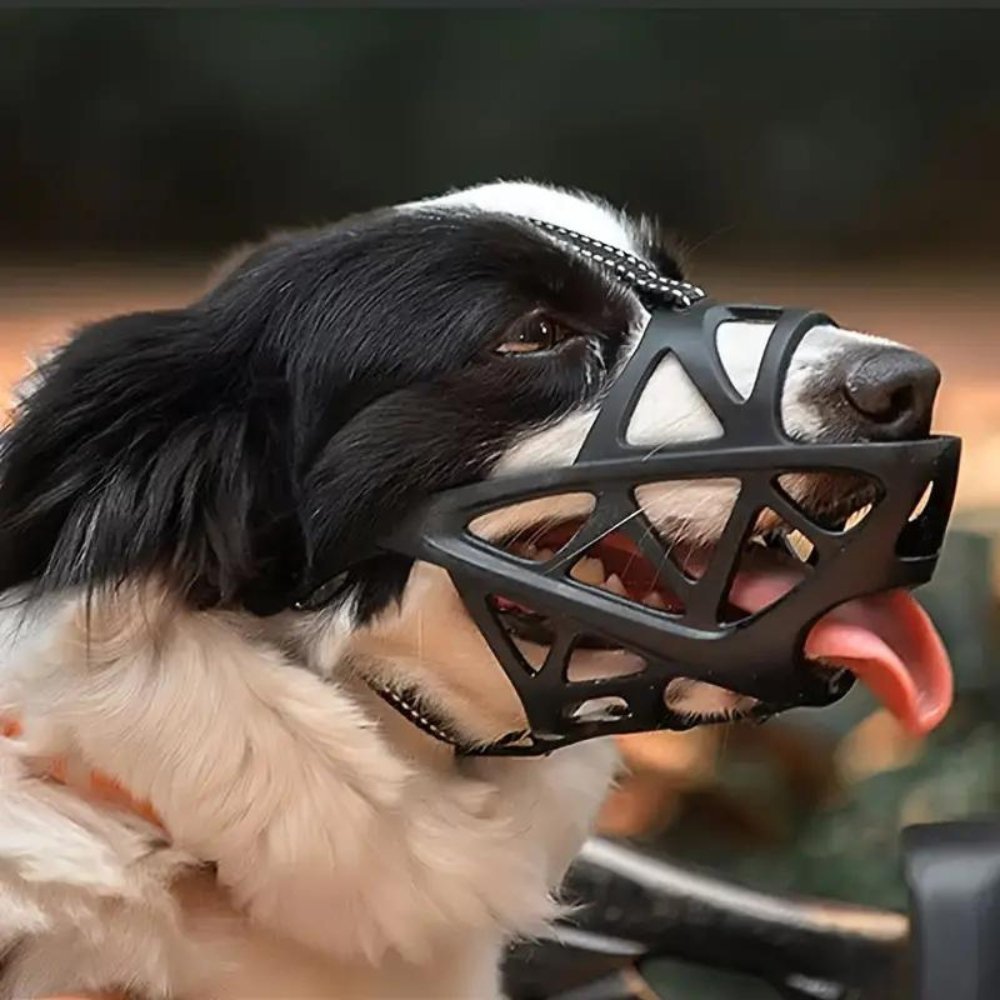 Ultra-soft dog muzzle, breathable design ensures pet comfort during behavior control & training.