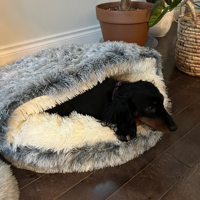 Premium plush dog & cat bed, designed for ultimate comfort & calming effect. Washable pet supplies for cozy sleep.