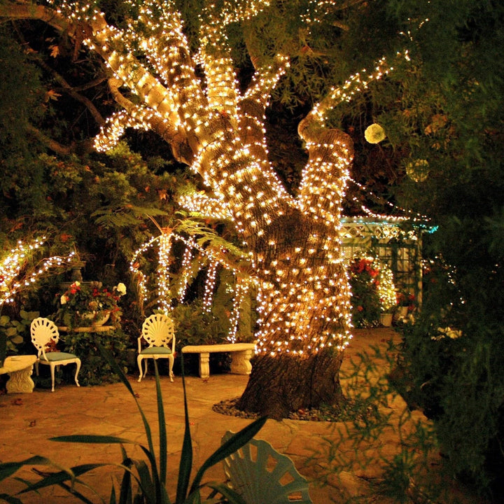 Outdoor garden decor featuring soloar powered LED fairy lights, SoliGlow