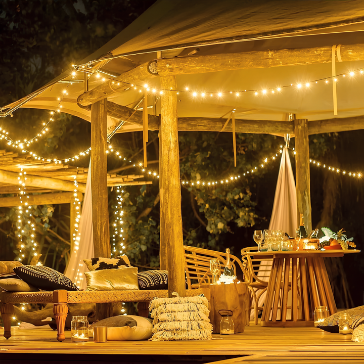 Warm white LED solar lights draped elegantly for garden ambiance and decor