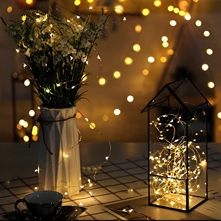 SoliGlow soloar LED fairy lights enhancing a backyard space, eco-friendly