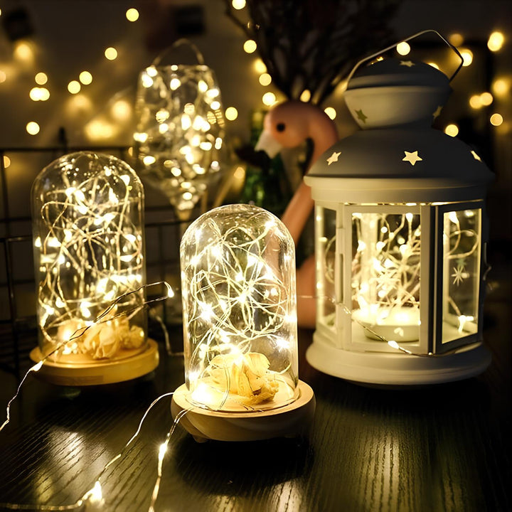 Long-lasting solar string lights providing bright outdoor decor for gardens