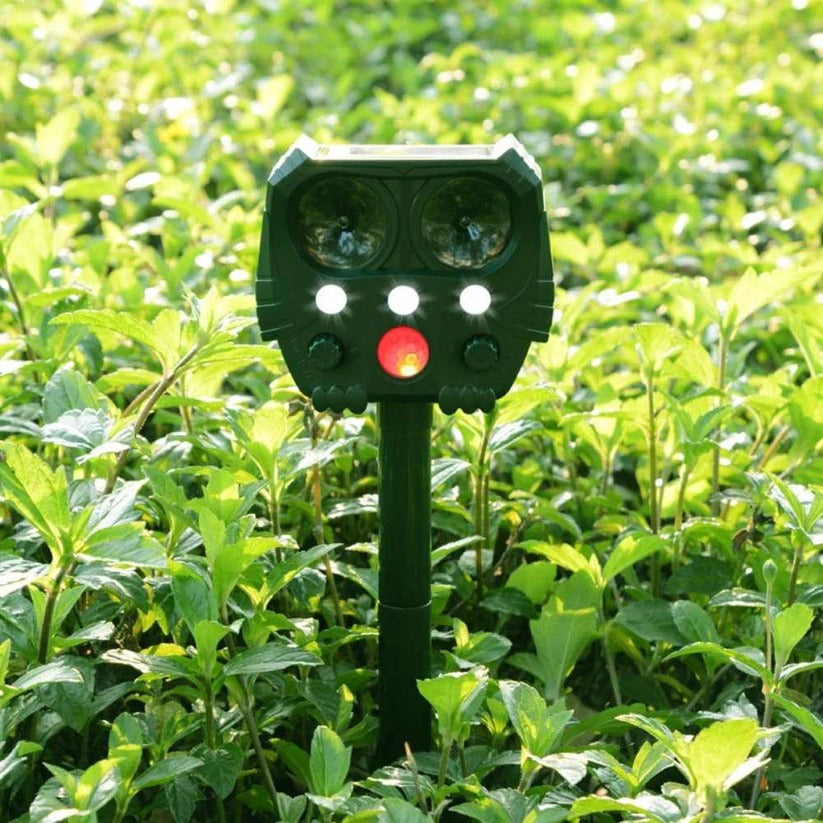 Compact outdoor animal deterrent keeps stray cats & dogs away from your yard.