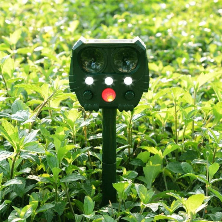 Compact outdoor animal deterrent keeps stray cats & dogs away from your yard.