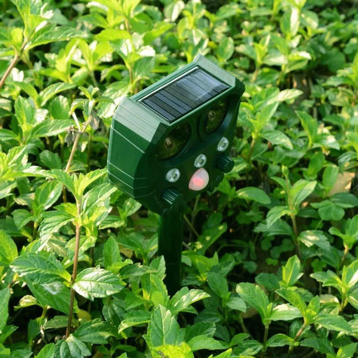Garden protector: motion-activated ultrasonic fox, squirrel, & rat repellent.