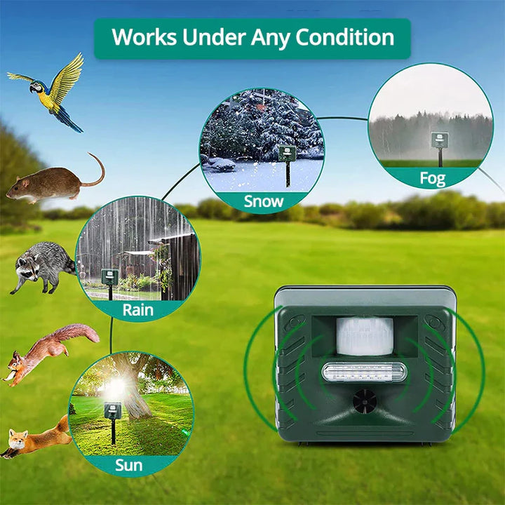 Woodpecker ultrasonic repeller, solar-powered for garden and yard pest defense.