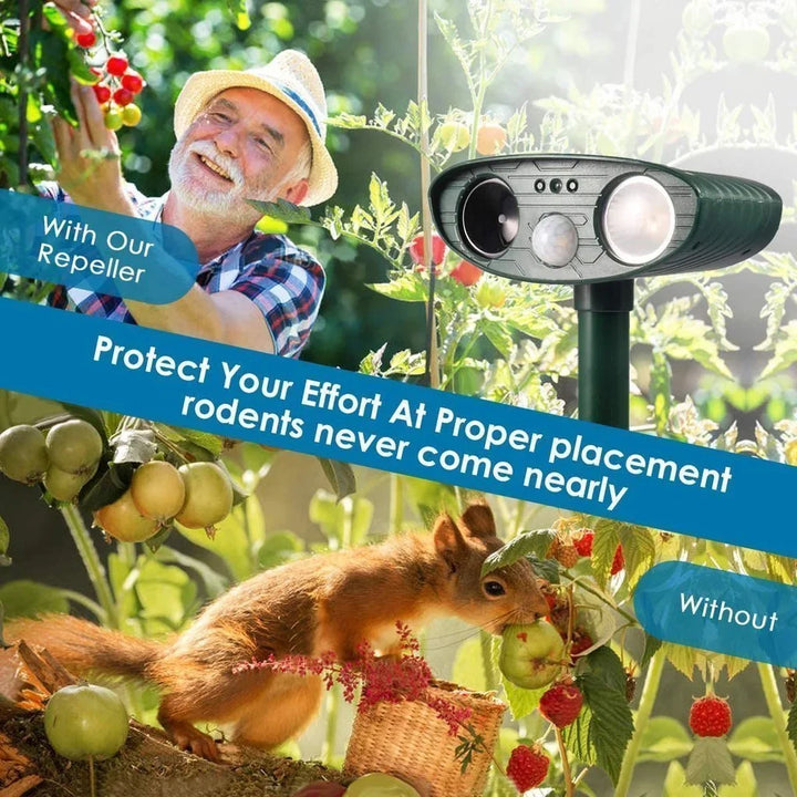 Durable outdoor solar ultrasonic chipmunk deterrent, effectively defending gardens and yards from pests.