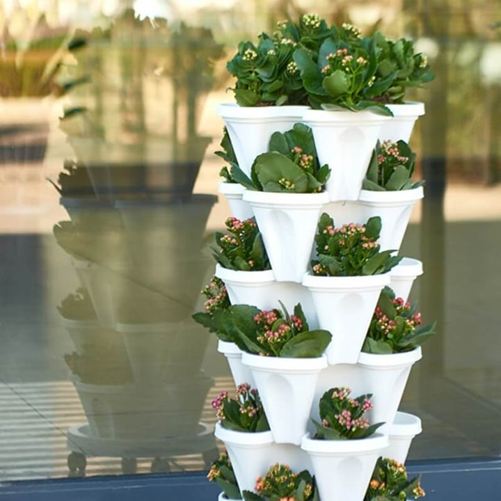 Multi-tier StrawberryStack planter for growing herbs & flowers. Ideal vertical garden for small spaces.