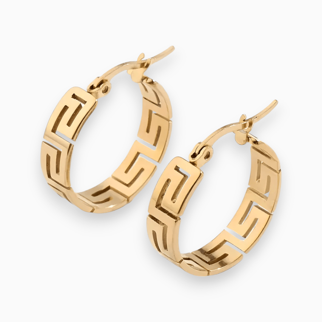 Stylish gold dangle earrings for women, featuring a elegant design perfect for fashion or as a gift.