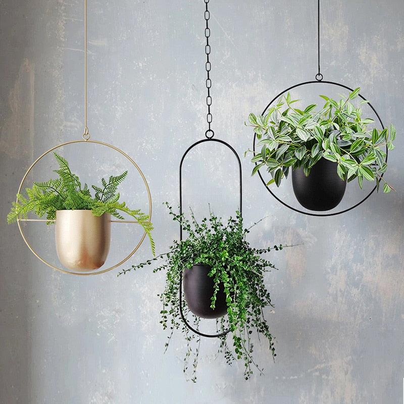 Stylish LeafLuxe indoor outdoor hanging plant holder, ideal for modern home & garden decor.