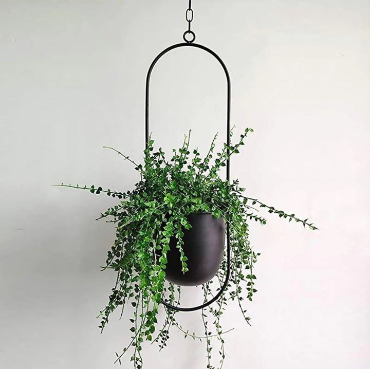 LeafLuxe modern hanging planter, an elegant choice for indoor plant arrangements.