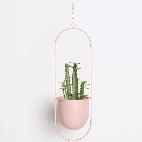 Decorative round hanging planter for a modern home interior or outdoor patio.