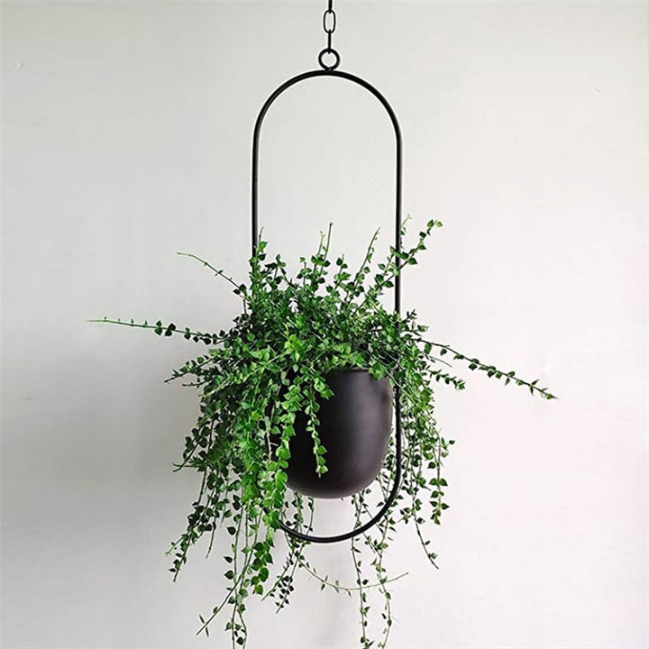 Modern minimalist metal hanging planter for indoor plants, adding a touch of elegance.