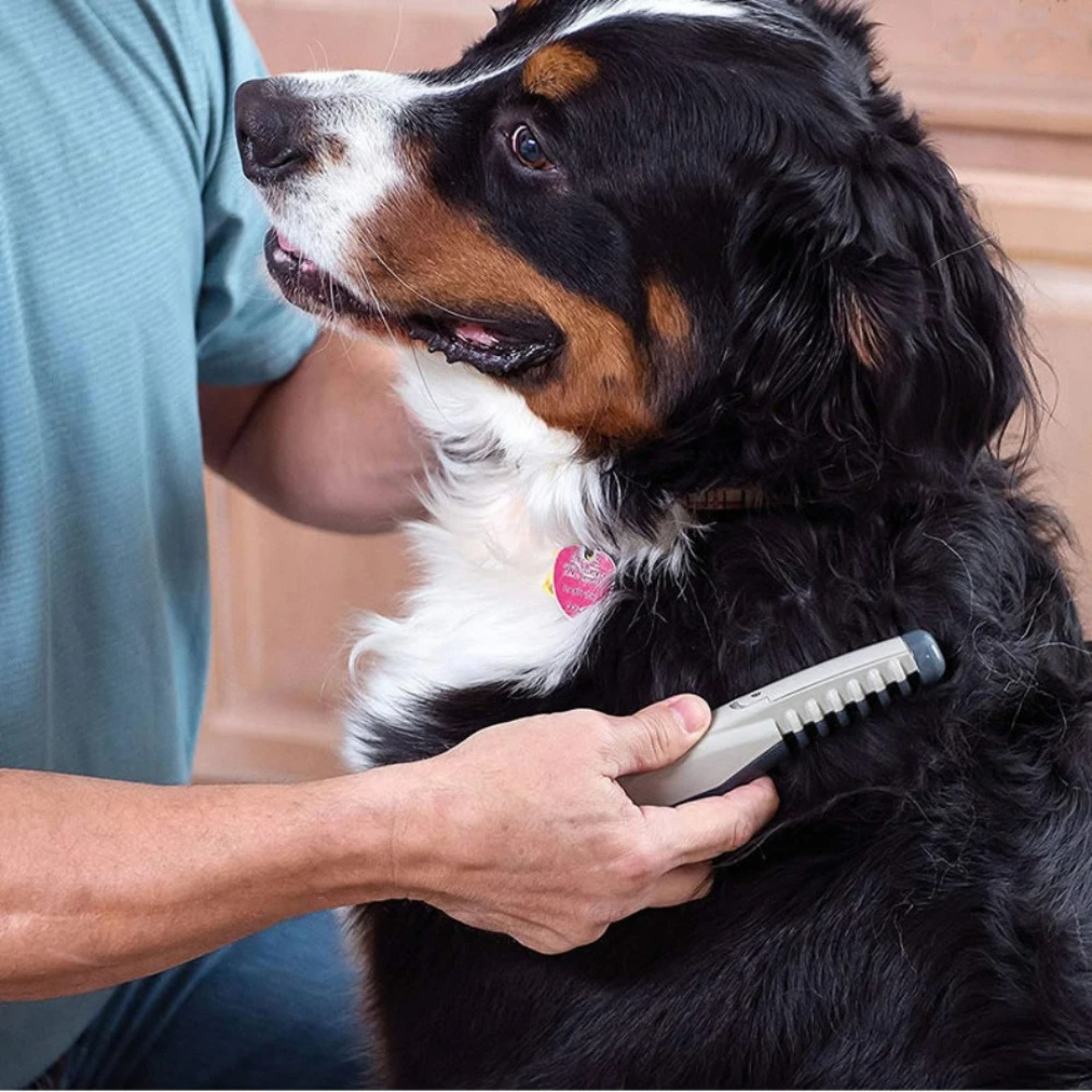 Close-up of the tangle-free pet grooming brush bristles, designed for gentle detangling on dogs & cats.