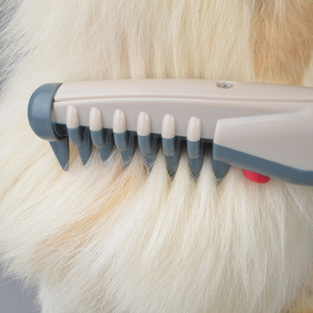 Premium pet grooming detangler brush for dogs & cats, promoting a healthy, shiny, and tangle-free coat.
