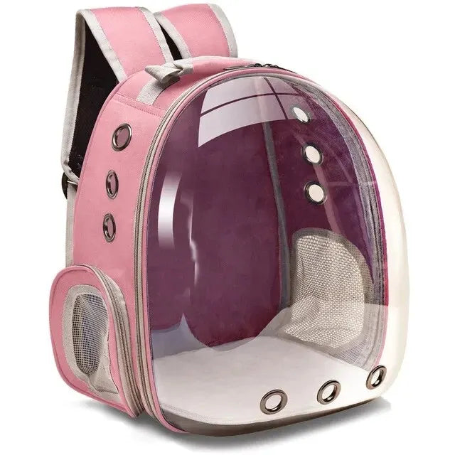 Person wearing a transparent pet carrier backpack with a cat inside. Hands-free travel for small pets.