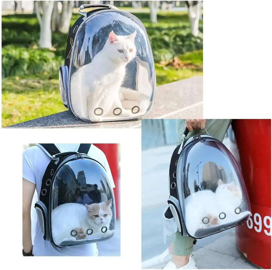 Durable transparent pet carrier backpack. High-quality materials for comfortable and safe small dog & cat travel.